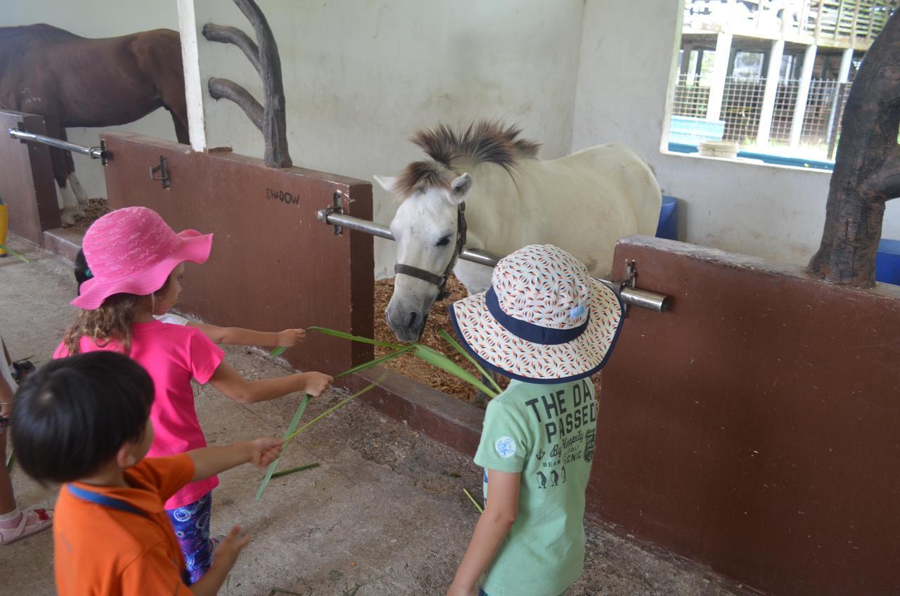 Sinar Eco Resort Kampong Bukit Panjang Екстериор снимка