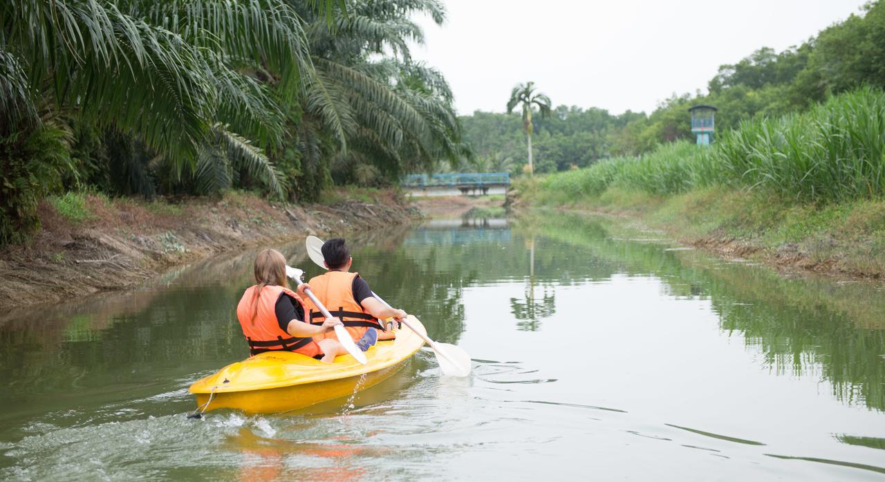 Sinar Eco Resort Kampong Bukit Panjang Екстериор снимка
