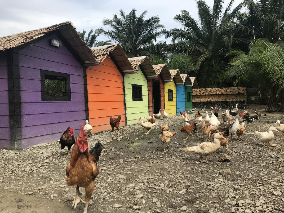 Sinar Eco Resort Kampong Bukit Panjang Екстериор снимка