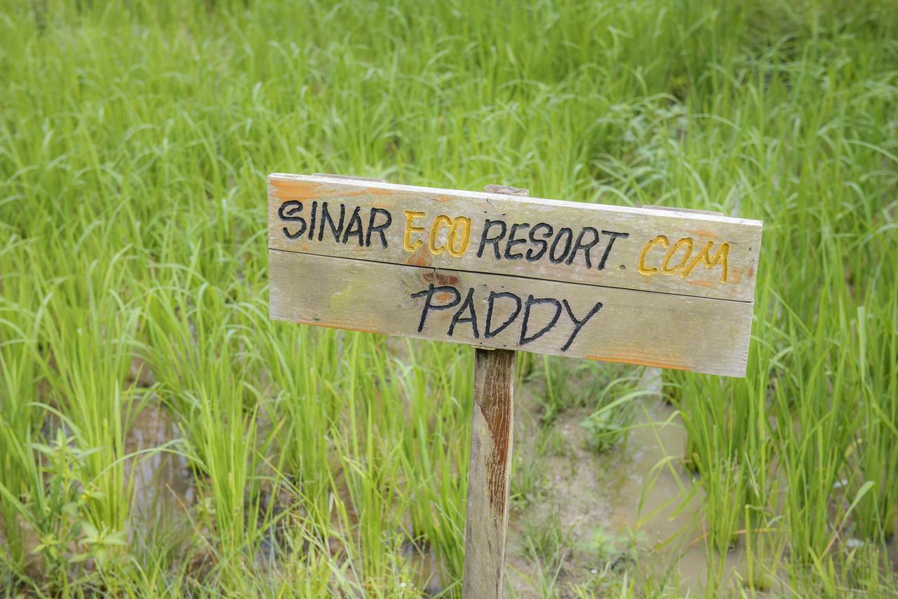 Sinar Eco Resort Kampong Bukit Panjang Екстериор снимка