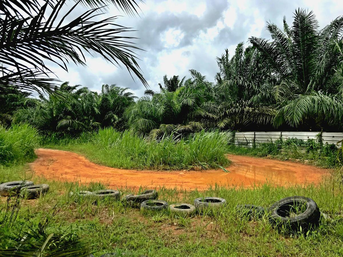 Sinar Eco Resort Kampong Bukit Panjang Екстериор снимка
